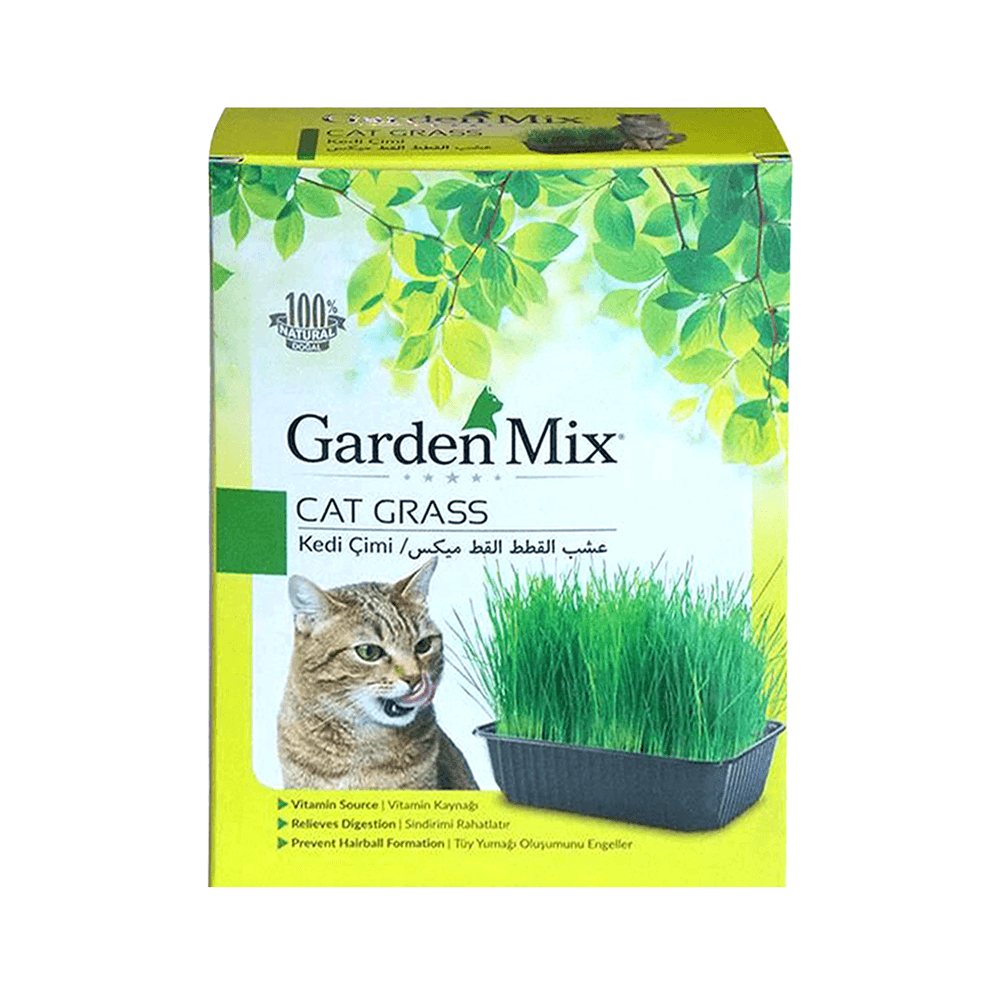 Garden Mix Kedi Çimi (18 x 13 cm)