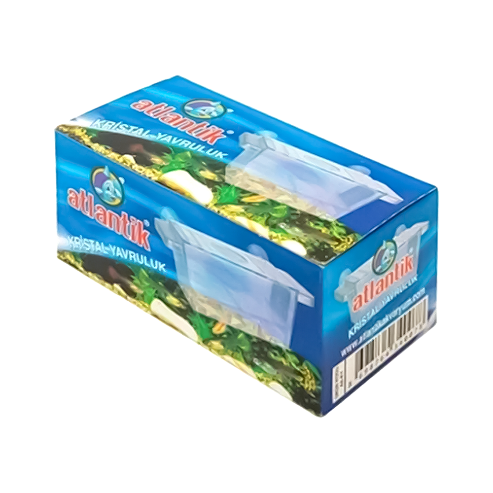 Atlantik Tekli Kristal Balık Yavruluk (13,5 x 8,5 cm)