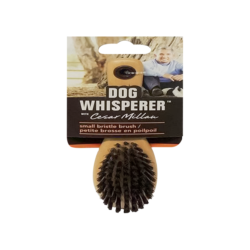 Dog Whisperer Cesar Millan Köpek Fırçası