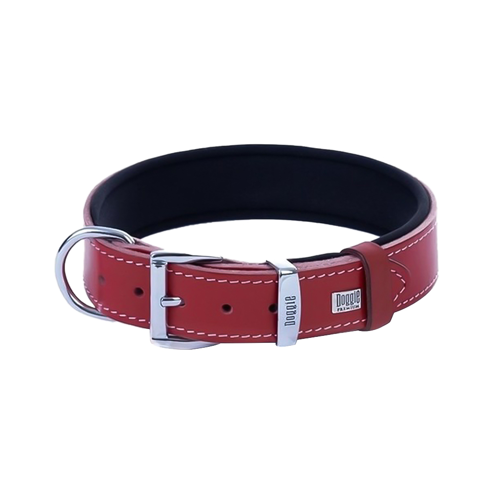 Doggie Çift İsimlikli Deri Köpek Boyun Tasması Kırmızı (4 x 52 - 60 cm)