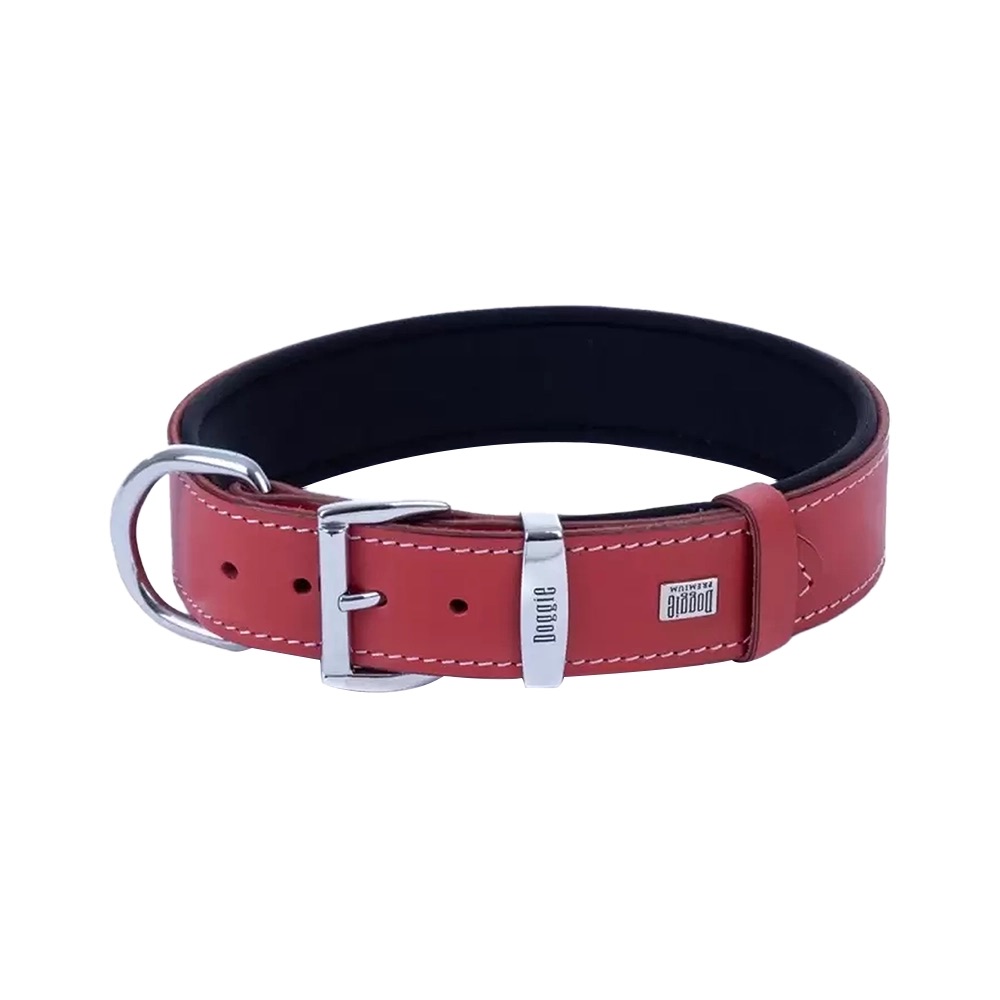 Doggie Comfort Deri Kemik Desenli Köpek Boyun Tasması Kırmızı (3,5 x 52 - 60 cm)