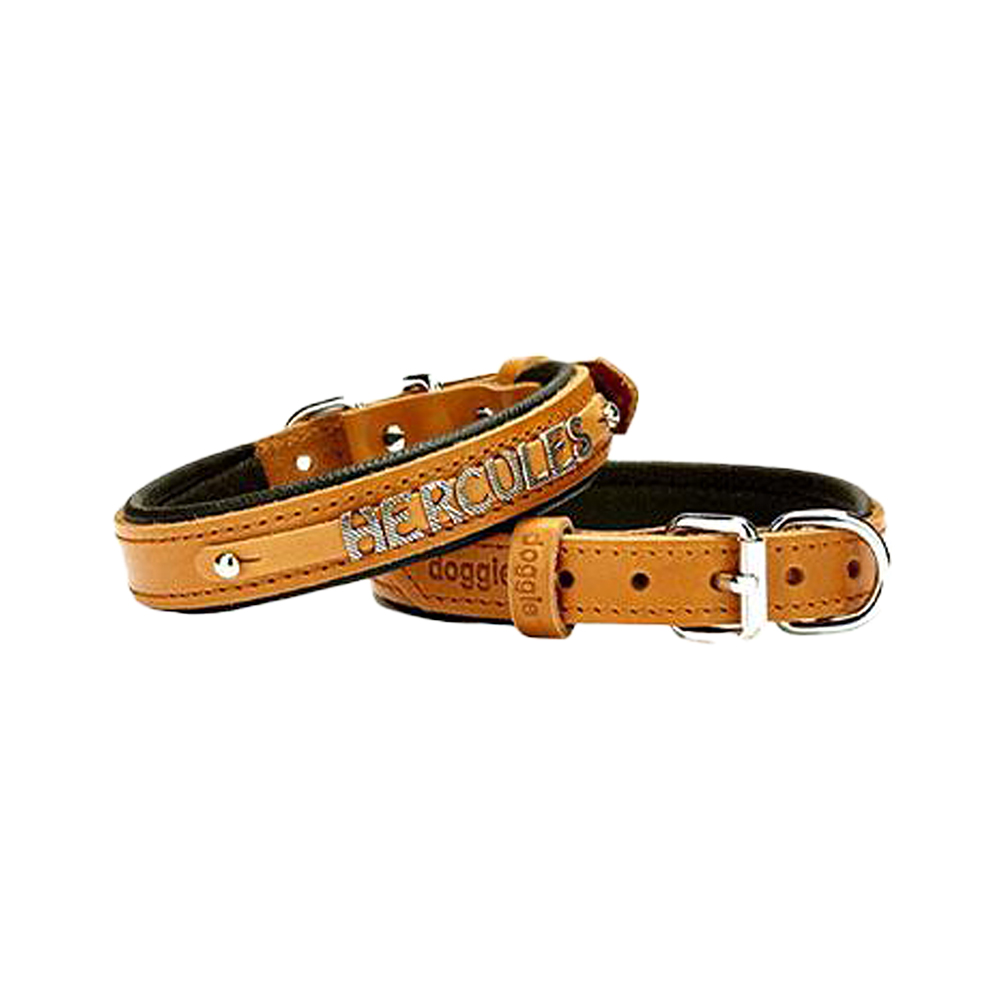 Doggie Konfor Deri İsimlikli Köpek Boyun Tasması Camel (2 x 35 - 40 cm)