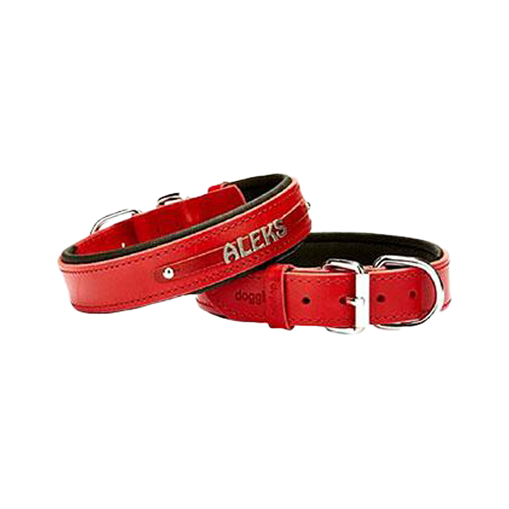 Doggie Konfor Deri İsimlikli Köpek Boyun Tasması Kırmızı (3 x 42 - 50 cm)