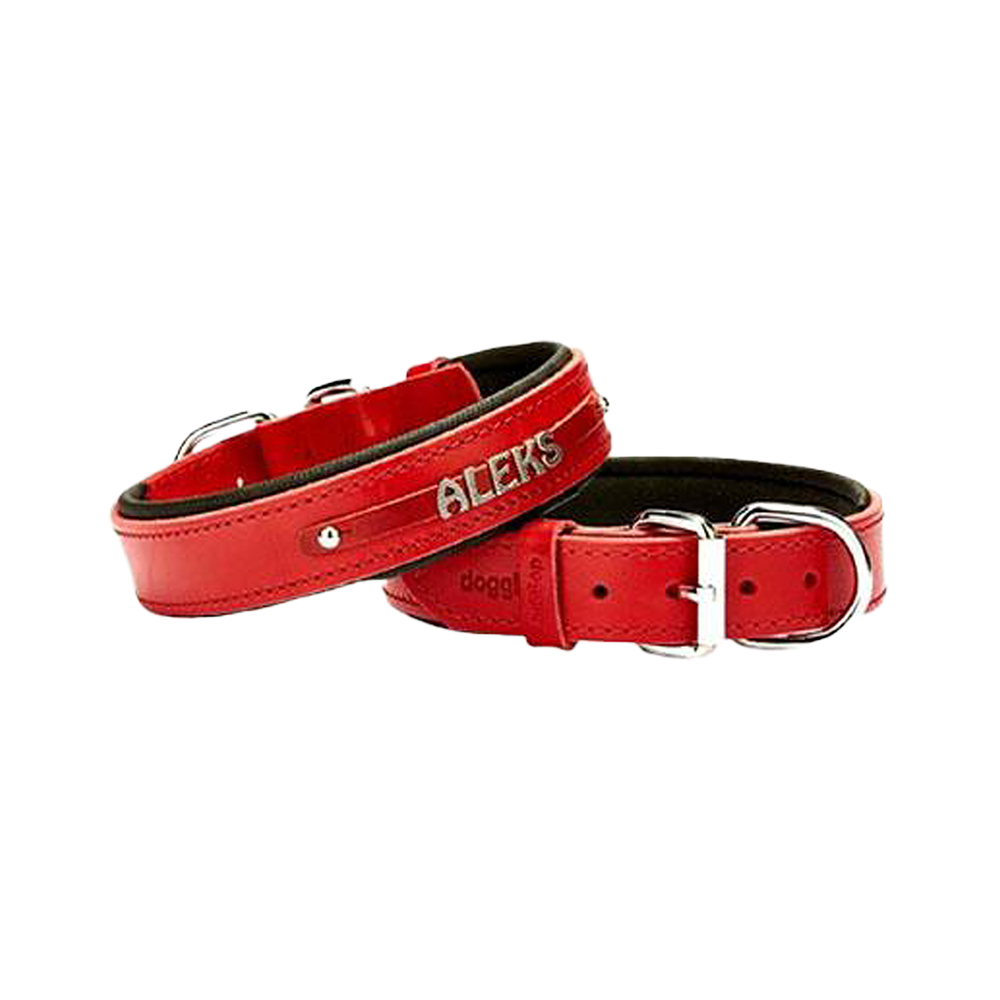Doggie Konfor Deri İsimlikli Köpek Boyun Tasması Kırmızı (3,5 x 47 - 55 cm)