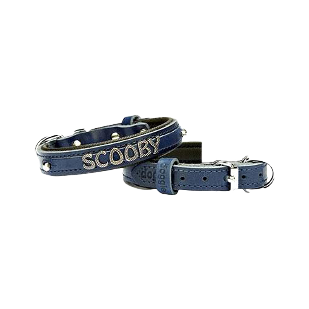 Doggie Konfor Deri İsimlikli Köpek Boyun Tasması Mavi (1,5 x 25 - 30 cm)