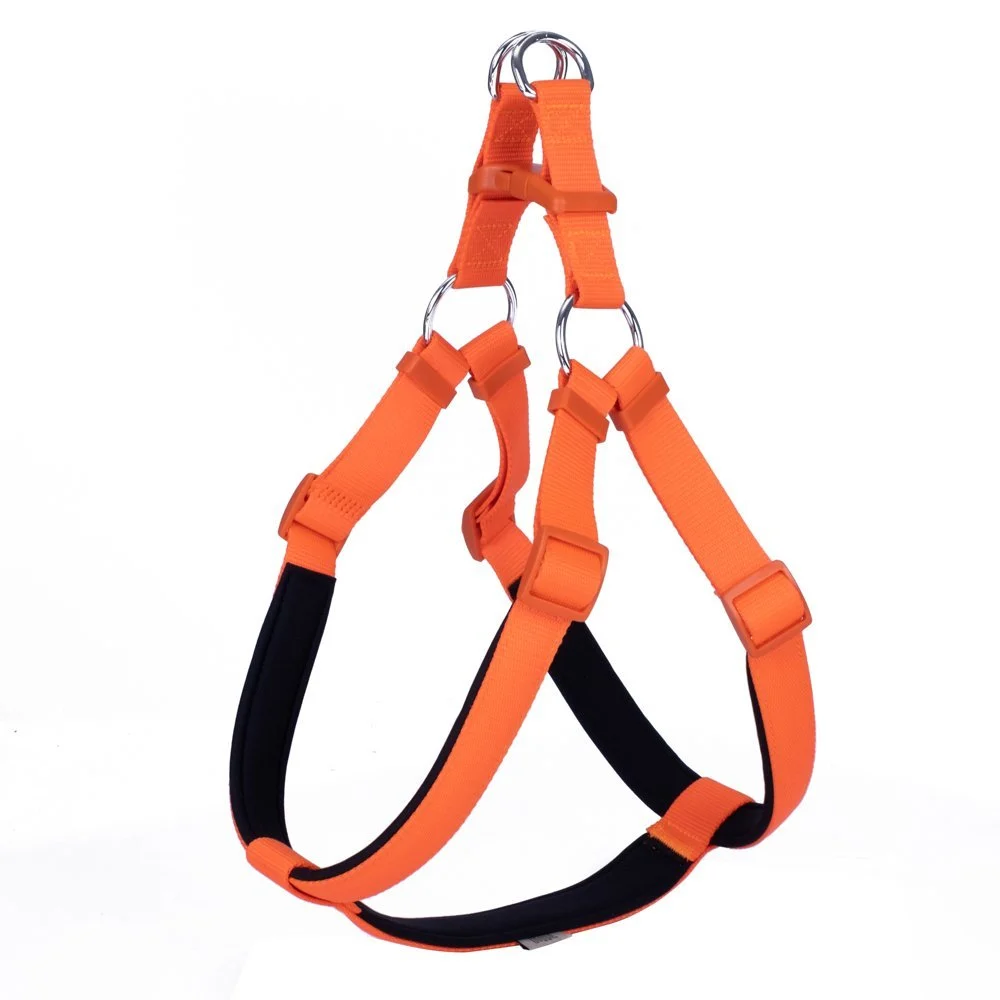 Doggie Konfor Dokuma Ronin Model Köpek Göğüs Tasması Turuncu XXL (2,5 x 70 - 80 cm)