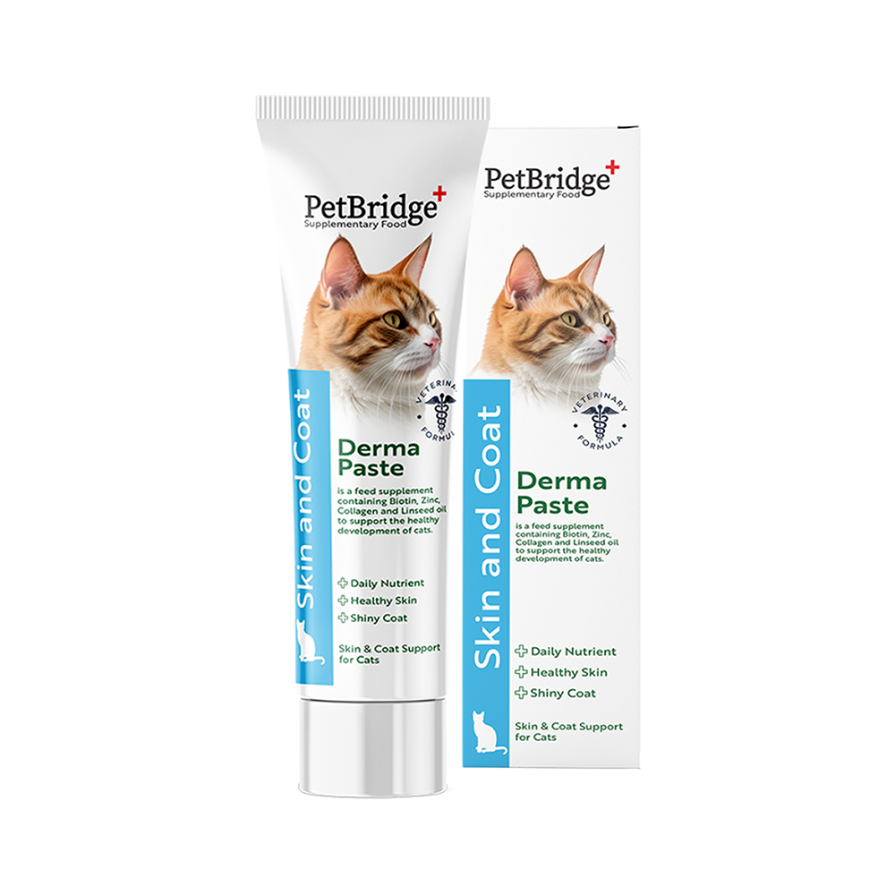 Pet Bridge Derma Kedi Malt Macun (100 ml)